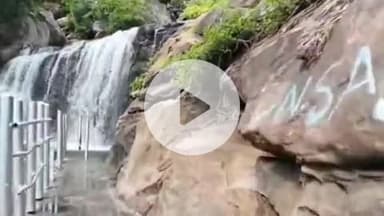 உடுமலைபேட்டை: பஞ்சலிங்க அறிவிக்க செல்ல சுற்றுலாப் பயணிகளுக்கு தடை - அமணலிங்கேஸ்வரர் கோவிலுக்கு செல்ல அனுமதி