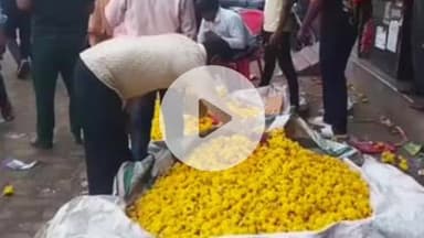 कानपुर: कैलाश मंदिर फूल मंडी में फूलों ने लोगों की जेब ढीली की, दोगुनी से अधिक दाम में बिके