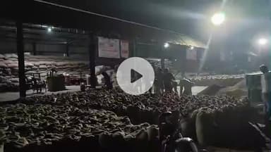 बीसलपुर: पीलीभीत मंडी में रात के अंधेरे में धान खरीद के मामले में होगी जांच