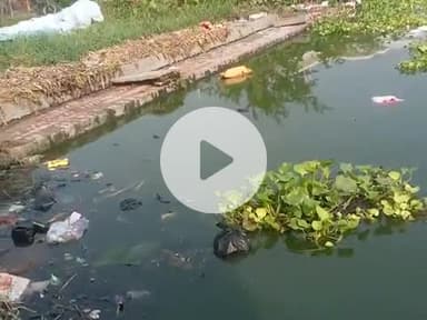 #mirja kha talab #ward36 #darbhanga# viral