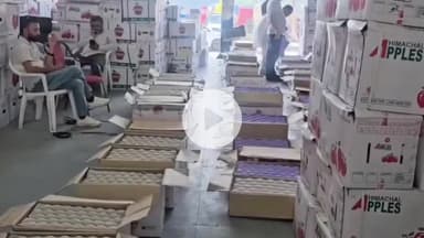 सोलन: किन्नरी सब्जियों के दामों में तेजी