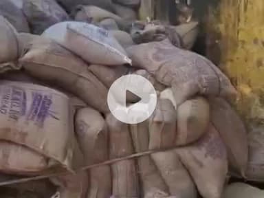 नौगावां सादात: पानी की पाइपलाइन के लिए की गई खुदाई में ठेकेदार की लापरवाही से नौगांवा में पलटी अनाज से भरी ट्रैक्टर ट्राली, लोग परेशान