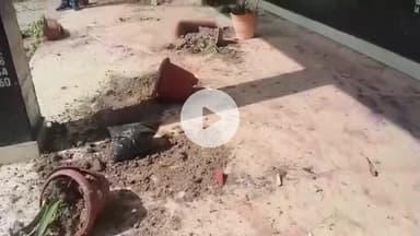 सोलन: पुंजविला स्कूल में शरारती तत्वों का तांडव, गमले तोड़े और नलके उखाड़े, शिक्षा मंदिर बना उपद्रवियों का निशाना