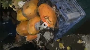 महू गांव के छोटे पुल के पास फल की दुकान में आग, हजारों रुपये के फल जले