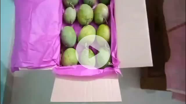 मालवण: मालवण येथील शेतकऱ्याने देवगड हापूस आंब्याची पहिली दोन डझनाची आंब्याची पेटी सातारा बाजारपेठेत केली रवाना