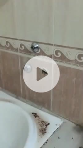 सोलन: सोलन के देवघाट में दिनदहाड़े चार फ्लैटों को बनाया गया निशाना, हुई चोरी