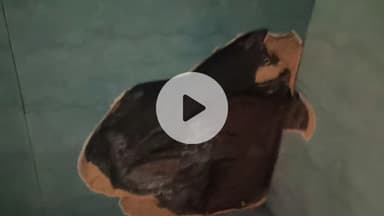 दोडामार्ग: विजेचा लोळ घरात घुसल्याने मणेरी येथे मोठे नुकसान