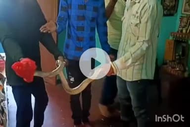 బొబ్బిలి: బొబ్బిలిలో ఇంట్లో కి చొరబడిన12 అడుగుల నాగు  పాము చాకచక్యంగా పట్టుకున్న స్థానికులు బయటికి తరలింపు