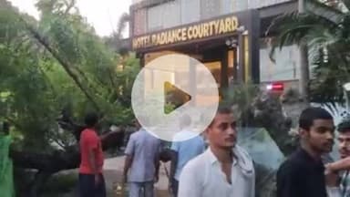 मंडुआडीह मुढैला त्रिमुहानी के पास रोड पर पेड़ गिरा, बड़ी घटना होने से बचा, आवागमन बाधित