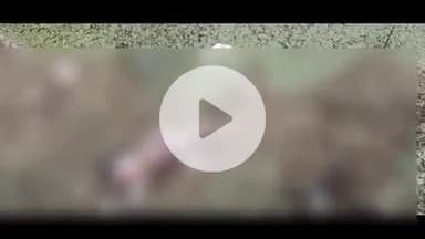 सिराथू: केसरिया गाँव के तालाब में नवजात शिशु का शव मिलने से मचा हड़कंप, पुलिस ने डीएनए जांच के लिए भेजा