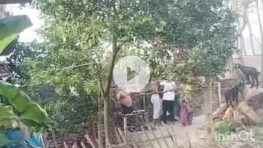 मुंगेर: मिर्ज़ापुर के बरदह गांव में बकरी विवाद में दो पक्षों में मारपीट, पांच घायल, वीडियो वायरल