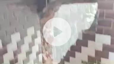 दीगोद: बूढादीत थाना इलाके के कोटड़ा दीप सिंह गांव में बैंक में चोरी का प्रयास, पुलिस मौके पर पहुंची और जांच में जुटी