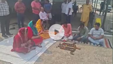 अमरोहा: गोवर्धन पूजा में उमड़ा आस्था का सैलाब, अमरोहा नगर पालिका अध्यक्ष शशि जैन ने गौमाता की आरती कर मांगी खुशहाली की कामना