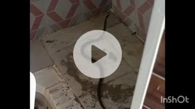 యాలాల్: యాలాల బాలికల ఉన్నత పాఠశాలలో బాత్రూంలో పాము, భయాందోళనకు గురైన బాలికలు