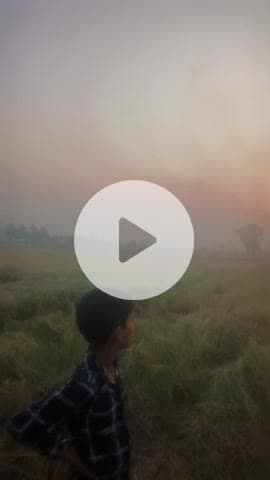 खेतों में लगाई गई आग आज एक साथ बहुत सारे जमीन मे #pollution #news #viral #city #cm #pm