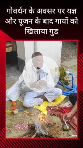 सरधना: गांव पाली में पं. निरंजन शास्त्री के आवास पर गोवर्धन के अवसर पर किया गया यज्ञ और पूजन, गाय को गुड़ और केले खिलाए गए
