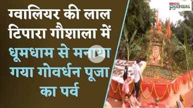 ग्वालियर की लाल टिपारा गौशाला में धूमधाम से मनाया गया गोवर्धन पूजा का पर्व | Gwalior News