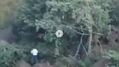 महू: पातालपानी में जान से खिलवाड़ करते युवकों का वीडियो वायरल