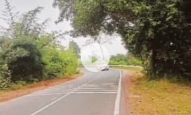 ढीमरखेड़ा: पौड़ी खुर्द गांव के पास उमरिया पान-ढीमरखेड़ा मार्ग पर आए दिन दुर्घटनाएं, अंधे मोड़ पर हादसों का सिलसिला जारी