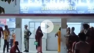 पूर्णिया पूर्व: पूर्णिया में 7 साल की बच्ची को जहरीले सांप ने काट लिया, परिजन आनन-फानन में अस्पताल लेकर गए, हुई मौत