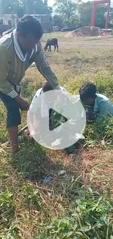 आज ग्राम डूंगरिया रैयत में वृक्षारोपण किया गया भाई दूज के उपलक्ष में जिसमें सभी ग्रामवासी उपस्थित रहे