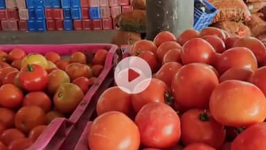 सोलन: सोलन सब्जी मंडी में टमाटर और बिन के भाव में तेजी, किसानों की आय में हुई बढ़ोतरी