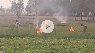 रामपुर: खंडिया गांव के जंगल में एक किसान ने खेत पराली जलाई, अफसर बोले- किसानों को जागरूक करेंगे, नहीं मानने पर होगी कार्रवाई