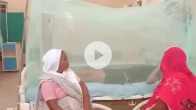 बरेली: डेंगू के चार और मलेरिया के 5 नए मरीज मिले