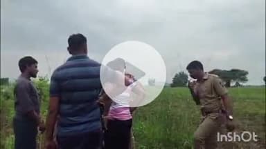 समुद्रपूर: गिरड परीसरातील वाघाला पकडण्याची परवानगी ३१ डिसेंबरपर्यंत : कर्मचारी अधिकारी वाघाच्या मार्गावर