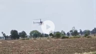 कालापीपल: अरनिया कला-पोचानेर रोड पर लसुड़लिया घाघ के जंगल में हेलीकॉप्टर से 69 हिरणों का रेस्क्यू