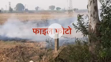 रादौर: यमुनानगर में फसल अवशेष जलाने का मामला आया सामने, भोगपुर के किसान के खिलाफ केस दर्ज