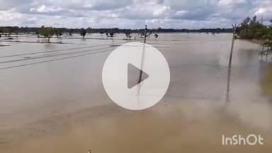 நன்னிலம்: செறுவளூர் மற்றும் அதன் சுற்று வட்டார பகுதிகளில் 1000 ஏக்கருக்கு மேல் சம்பா நெற்பயிர்கள் தண்ணீரில் மூழ்கியதால் விவசாயிகள் வேதனை