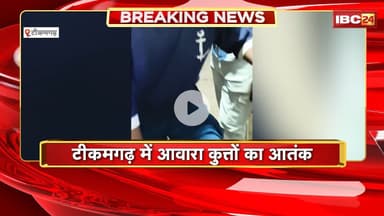 Tikamgarh Dog Attack: आवारा कुत्तों ने सड़क पर जा रहे 2 बच्चों को बनाया निशाना। हमले में दोनों घायल