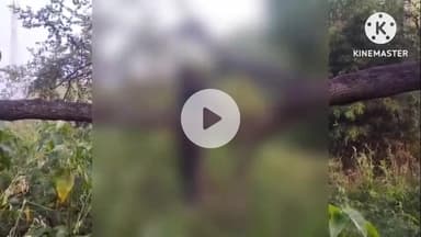 घाघरा: आरंगी गांव में नाबालिग बच्चे ने पेड़ से फांसी लगाकर की आत्महत्या, पुलिस ने शव को पोस्टमार्टम के लिए गुमला भेजा