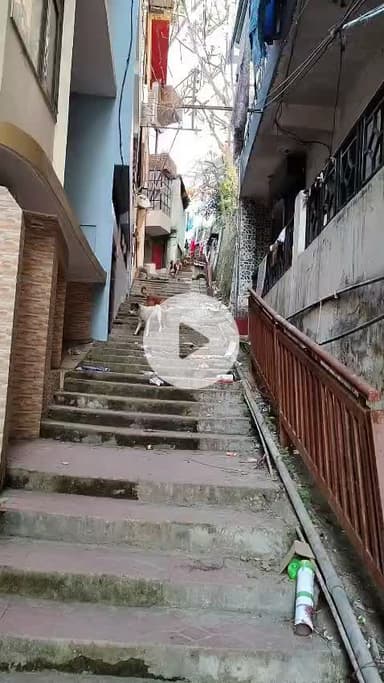 सोलन में  दिवाली पर कूड़े ओर इनका रहा दबदबा