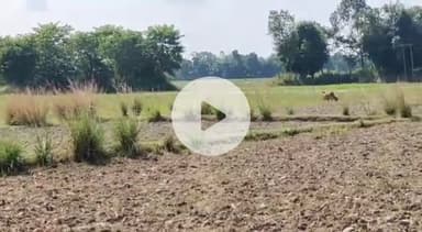 সৰ্থেবাৰী: সৰ্থেবাৰীৰ নলীৰপাম গাঁৱৰ পথাৰৰ মাজত নৱজাকৰ মৃতদেহ উদ্ধাৰ আৰক্ষী উপস্থিত হৈ তদন্ত কৰে