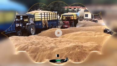 पूरनपुर मंडी समिति और मंडी के बाहर धान क्रय केन्द्रो पर बिचोलियो की चांदी। किसानो को नज़र अंदाज़ कर बिचोलियो को प्रथमिकता।