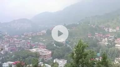 सोलन: पोलन से जुकाम और एलर्जी से पीड़ित हो रहे लोग