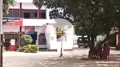 करनैलगंज: कटरा बाजार पुलिस की प्रभावी पैरवी से अपहरण मामले में दो दोषियों को 10-10 वर्ष की सजा, अदालत ने सुनाया फैसला