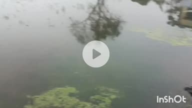 मुंगेर: मुंगेर जिले में 9.5 एकड़ खेतों में जल जमाव, रवि की खेती पर संकट