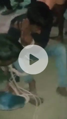 आरा: भेल डुमरा गांव में मवेशी चुराते दो चोरों को रंगे हाथ पकड़ा गया, मौके पर पहुंची पुलिस ने लिया हिरासत में