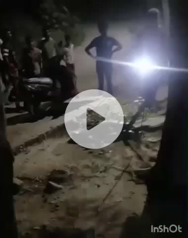 औरैया: ग्राम क्योंटरा में अजगर निकलने से मचा हड़कंप, वन विभाग ने किया रेस्क्यू, प्रधान के घर के बाहर दिखा था अजगर