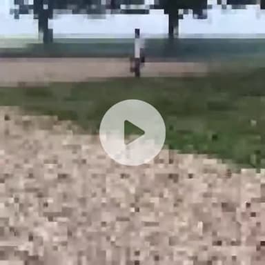 मिर्ज़ापुर: कछवा थाना क्षेत्र के जमुआ बाजार के राजा तालाब मार्ग के एक बगीचे में पेड़ से लटकता हुआ मिला शव, मौके पर पहुंची पुलिस