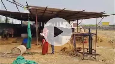 लाडपुरा: रंगपुर रोड गावड़ी गांव में एक घर में घुसा 5 फीट लंबा कोबरा सांप, स्नेक केचर ने किया रेस्क्यू