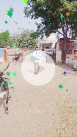 🐂 मातृकुंडियां श्री राधे कृष्ण बजरंग गौशाला सेवा संस्थान में गोवर्धन पूजा — सेवा, सहयोग और संस्कार का सुंदर संगम🤝