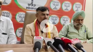 अमरोहा: अमरोहा में DFO आवास के पास हरे-भरे पेड़ों पर कुल्हाड़ी चला रहे हैं माफिया, वन मंत्री ने कहा- दोषियों को नहीं बख्शा जाएगा