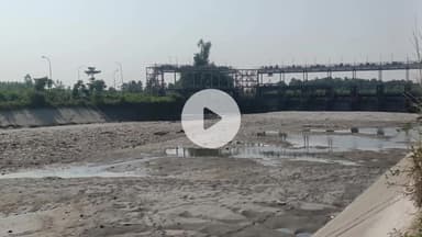 जगाधरी: छठ पूजा के लिए यमुनानगर के हथिनीकुंड बैराज से यमुना नहरों की आपूर्ति बंद