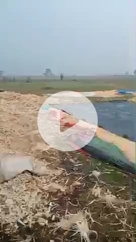 ब्लॉक बदरवास के peerot गांव में  पानी के कारण 1200 क्विंटल के लगभग मक्का का नुकसान हुआ किसान हुआ भारी दुखी 😭😭😭#viral