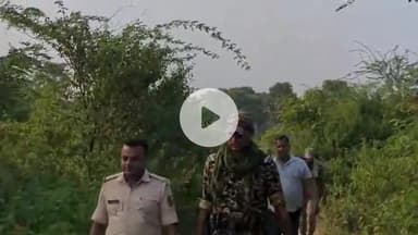 सिरदला: विधानसभा चुनाव को लेकर सिरदला पुलिस ने बहुआरा जंगल में 120 लीटर शराब की जब्ती की, तीन आरोपी फरार