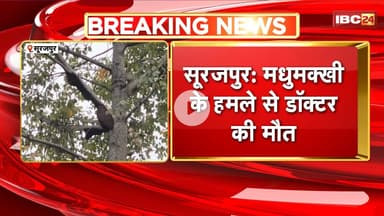 Surajpur News : मधुमक्खी के हमले से डॉक्टर की मौत। Sushant Vishwas की इलाज के दौरान हुई मौत